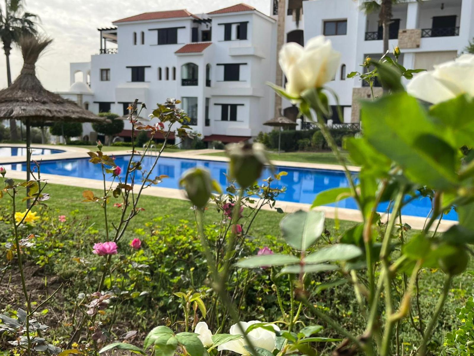 Lilac'S Garden Vue Piscine 음디크 외부 사진